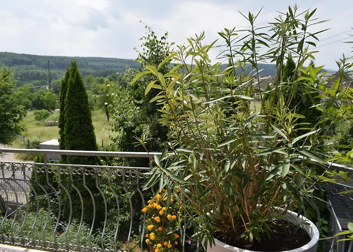 Ferienwohnung Ahrtalblick