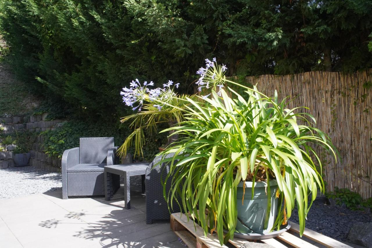 Ahrtalblick Apartment *