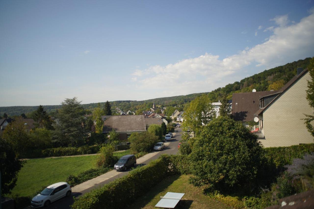 Ahrtalblick * Sinzig